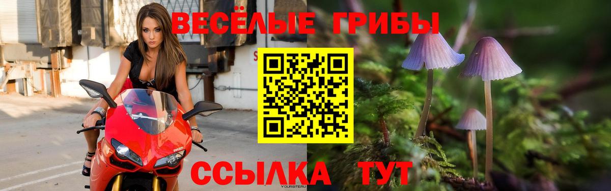 Верхний Уфалей  Галлюциногенные грибы Psilocybine cubensis  Вход с VPN  Псилоцибиновые грибы мицелий 